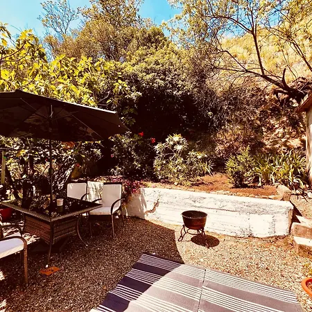 With Views Lejlighed *